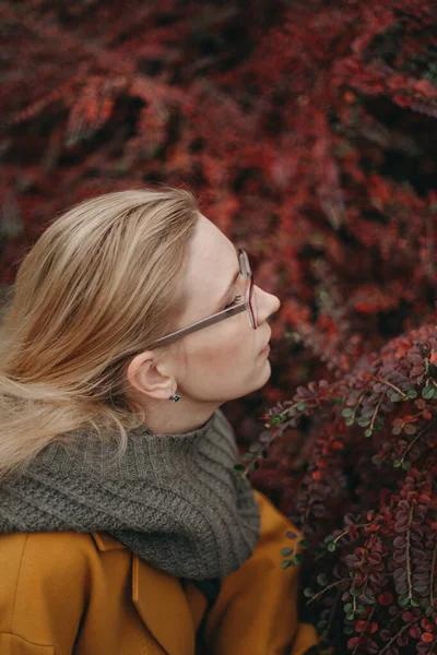 Retrato de hermosa rubia sobre fondo de hojas rojas — Foto de Stock