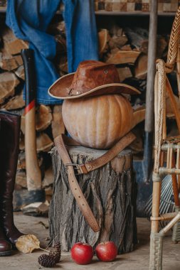 Balkabağı, kütük, verandada alet ve yakacak odun