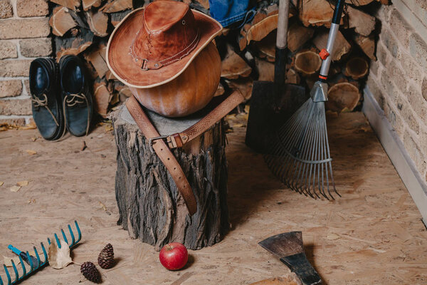 Тыква, инструмент и дрова на веранде
