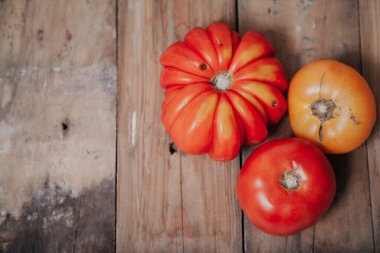 Üç farklı domates yakın çekim. Yukarıdan görüntüle