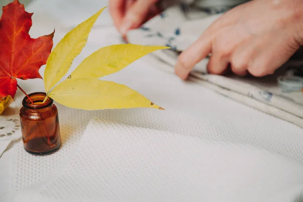 Gele blad van boom staat in kleine pot op witte doek — Stockfoto