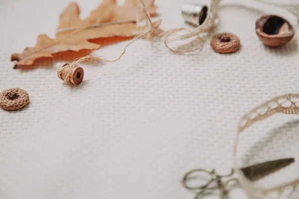 Geel blad van eiken en naald liggen op witte doek — Stockfoto