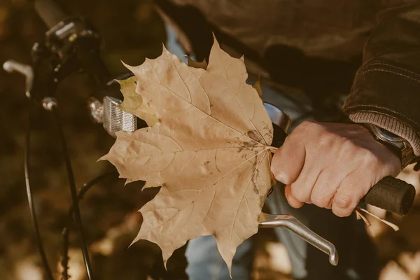 Mężczyzna ręka z liści klonu trzyma kierownicę roweru — Zdjęcie stockowe