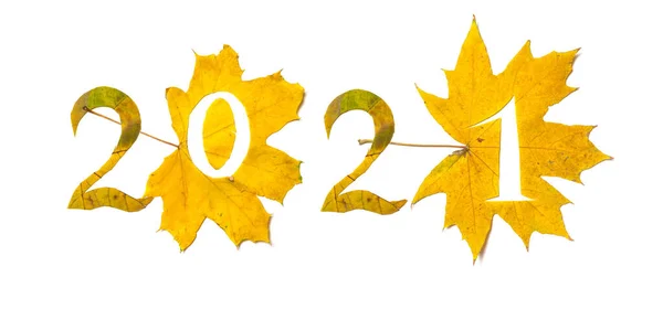 Αριθμοί Φθινοπώρου 2021 Είναι Επενδεδυμένα Όμορφα Κίτρινα Φύλλα Σφενδάμου Σκαλισμένους — Φωτογραφία Αρχείου