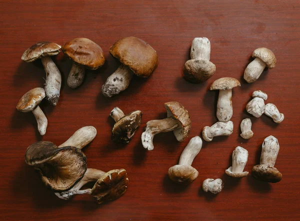 Masadaki mantarlar. Kahverengi bir masanın üzerinde farklı boyutlarda bilardo sopaları var. Yukarıdan Görünüm