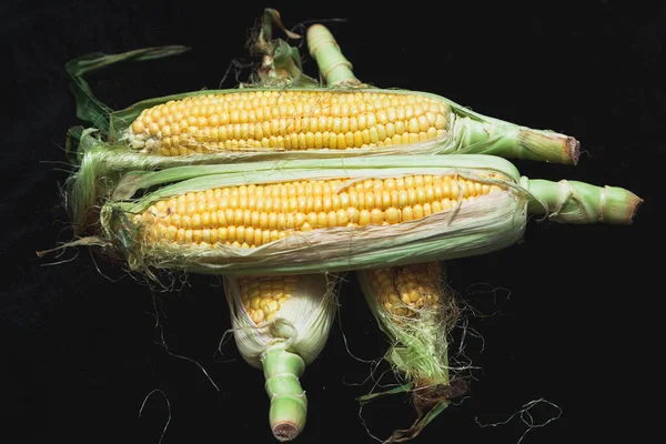 Appetitliche Maiskolben Mit Grünen Blättern Liegen Auf Schwarzem Hintergrund Großaufnahme — Stockfoto