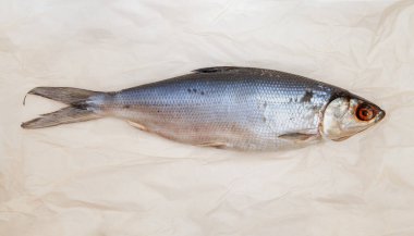 Parşömen kağıdının üzerinde güzel bir balık yatar. Yukarıdan Görünüm