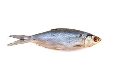 Güzel balık yumurtası beyaz kağıda yakın planda yatar. Yukarıdan Görünüm