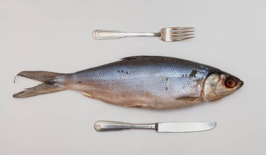 Omul 'la hayat devam ediyor. Güzel balık yumurtası beyaz kağıda yakın planda yatar. Tepesinde bir çatal var. Alt düğüm