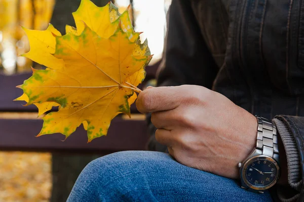 Parcela Otoño Hojas Arce Amarillo Las Manos Hombre Sentado Banco — Foto de Stock