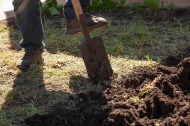 Sebze bahçesi kazıyorum. Kot pantolonlu bir adam siyah toprağı kazıyor yakın mesafeden kürekle.