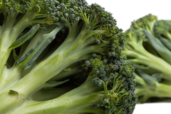 Two heads of green broccoli with dense clusters of small buds lie on a white background. Close-up. Looks like fallen tree