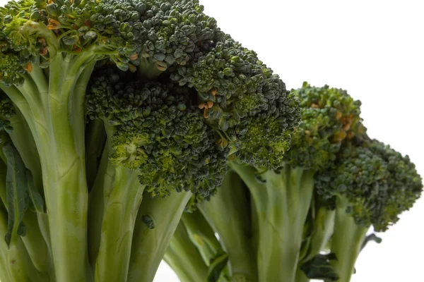 Two heads of green broccoli stand upright on a white background. branches are very similar to a tree trunk with branches without bark