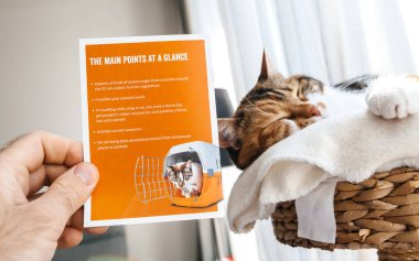 Man preparing to travel with cat reading brochure from Switzerla clipart