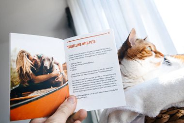 Şirin kedi önünde Evcil hayvan broşür ile seyahat 