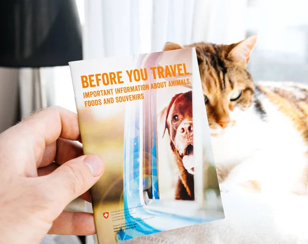 Człowiek przygotowuje się do podróży z kotem czytanie Broszura z Szwajcaria — Zdjęcie stockowe