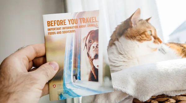 Homem se preparando para viajar com folheto de leitura de gato da Switzerla — Fotografia de Stock