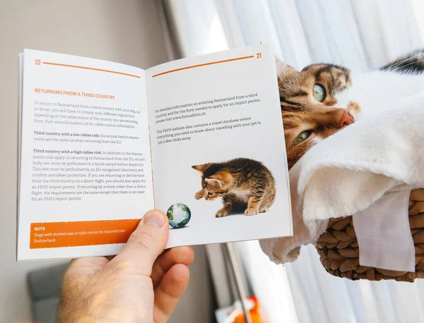 Man preparing to travel with cat reading brochure from Switzerla — Stock Photo, Image