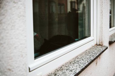 Pencere uyku sokak kedi kedi görünümünden
