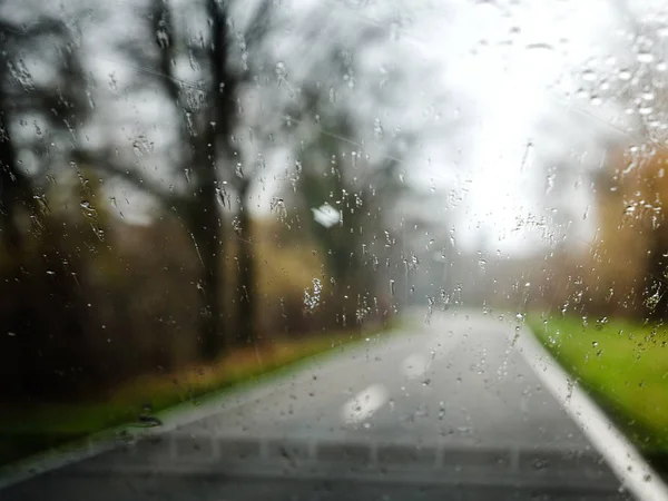 雨车挡风玻璃驾驶森林 — 图库照片