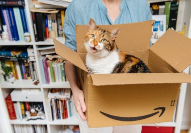 Paris, Fransa - 4 Temmuz 2018: Meraklı evde beslenen hayvan kedi kadın oturma odasında tarafından Amazon Prime kurye tarafından teslim sonra karton ve unboxing çıkar