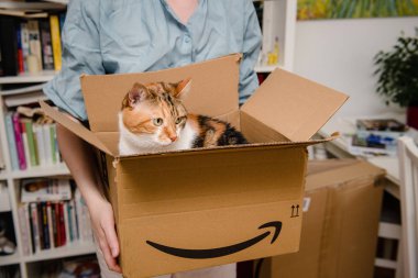 Paris, Fransa - 4 Temmuz 2018: Güzel evde beslenen hayvan kedi kadın oturma odasında tarafından Amazon Prime kurye tarafından teslim sonra karton ve unboxing çıkar