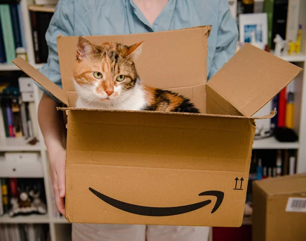 Paris France Juli 2018 Schwere Katze Verlässt Amazon Prime Karton — Stockfoto