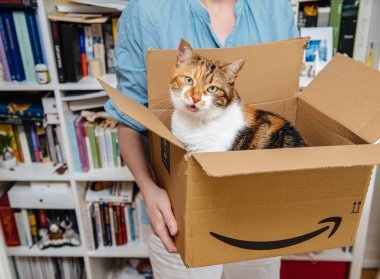 Kadın kedi teslim tarafından Amazon Prime karton unboxing unboxing