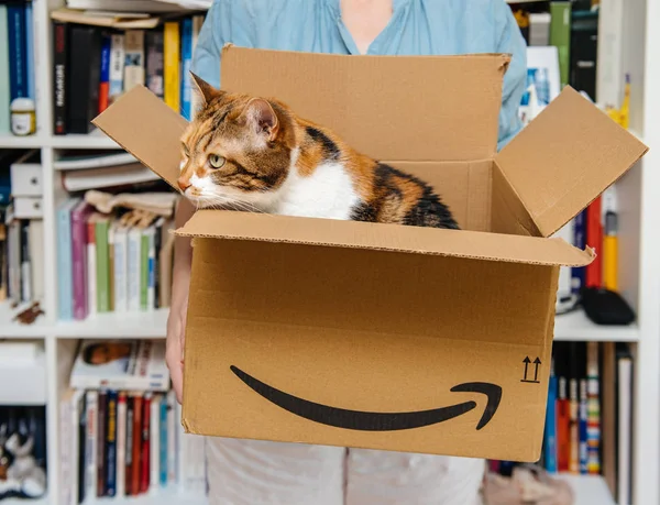 Mujer gato unboxing entrega por Amazon Prime cartulina unboxing — Foto de Stock