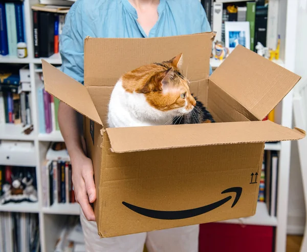 Paris Frankrijk Jul 2018 Nieuwsgierig Huisdier Kat Afvoeropeningen Amazon Prime — Stockfoto