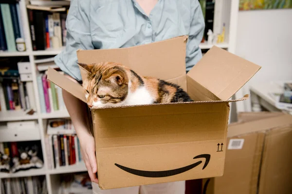 Paris Fransa Temmuz 2018 Amazon Prime Karton Ile Yeni Kedi — Stok fotoğraf