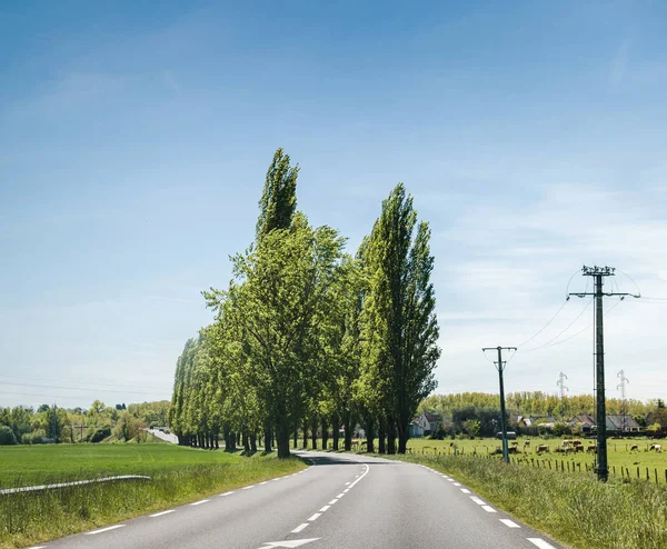 Prachtige Franse Platteland Weg Perspectief Met Hoge Populieren Helderblauwe Hemel — Stockfoto