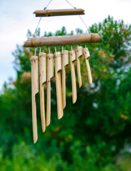 Japanese Bamboo Garden Wind Chimes Cloches Bois Remis Sur Arbre — Photo