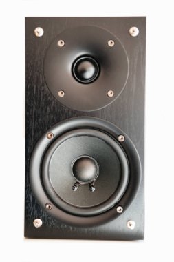 Beyaz arka plan üzerinde güçlü ahşap hoparlör osplated önden görünümü