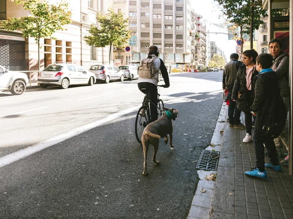 Hombre montando bicicleta en la calle con perro corriendo a su lado — Foto de Stock
