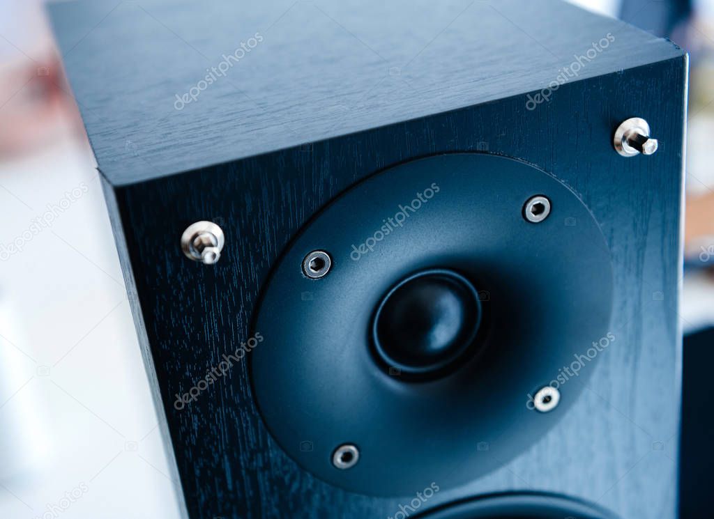 Detail of powerful wooden loudspeaker tweeter in blue tone - view from above