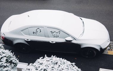 Kedi ile kar ile kaplı araba benim fare siluetleri