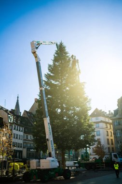 Noel ağacı süsleme ve yükleme merkezi Strasbourg