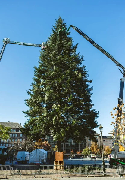 Рождественская елка во Франции — стоковое фото