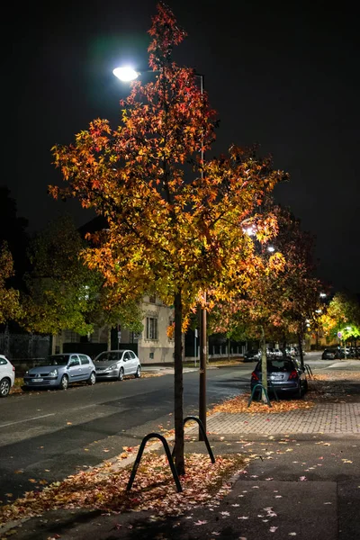 Fall autumn street in Strasbourg at dusk with cars parked — Stock Photo, Image