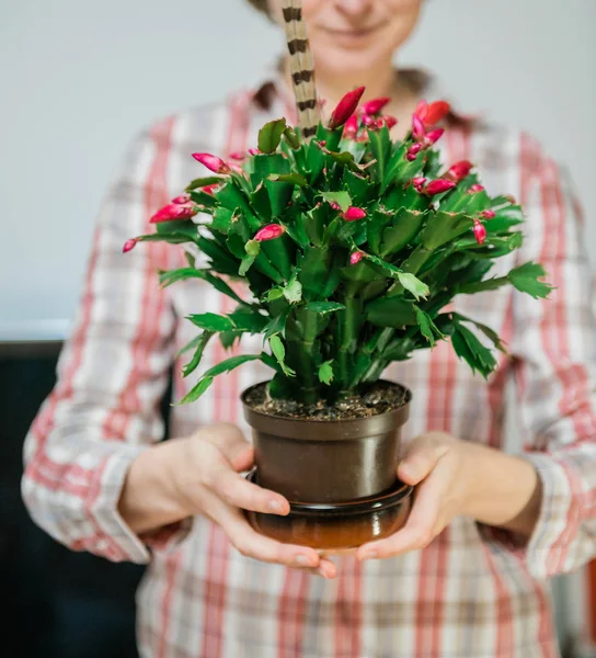 Mujer y cactus fresco de Acción de Gracias —  Fotos de Stock