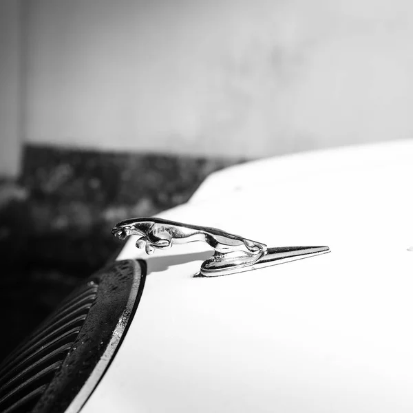 Jaguar-Schriftzug an der Front des Autos — Stockfoto