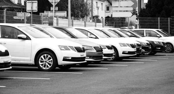 Skoda Superb white limousines auto dealer nieuwe auto op parkeerplaats — Stockfoto