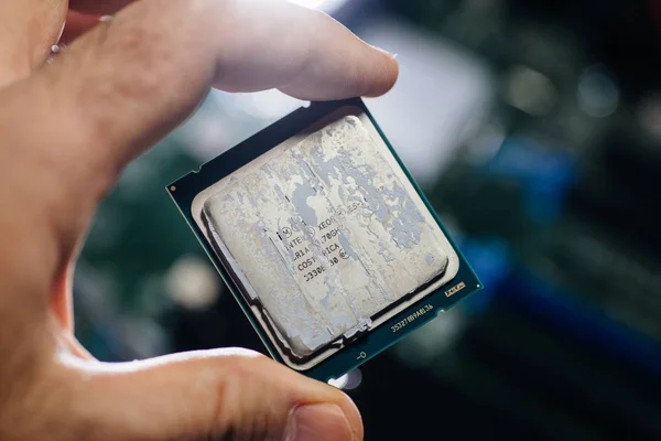 Man hand houden van de nieuwste intel Xeon E5-2687w v4 Cpu — Stockfoto