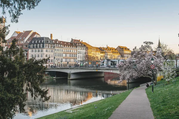 Κεντρικό Στρασβούργο με άρρωστο ποτάμι και στην άνθιση μανόλια δέντρο — Φωτογραφία Αρχείου