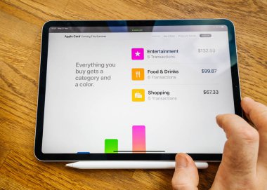 Adam Pov ipad Pro Tablet Apple kartı özelliği Web sitesinde ile
