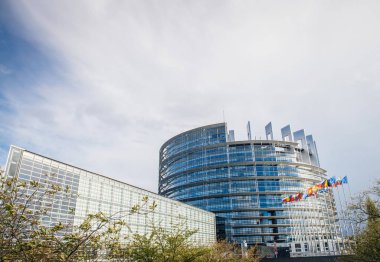 Tüm üye devletler bayrakları ile Avrupa Parlamentosu Binası