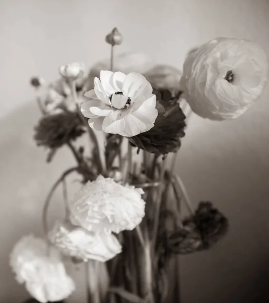 Schöner Hahnenfuß Strauß Blume in Vase — Stockfoto