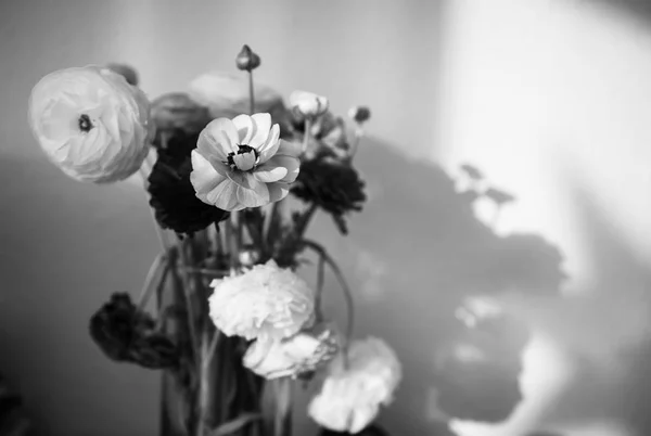 Bela flor de buquê de ranúnculo em vaso preto e branco — Fotografia de Stock