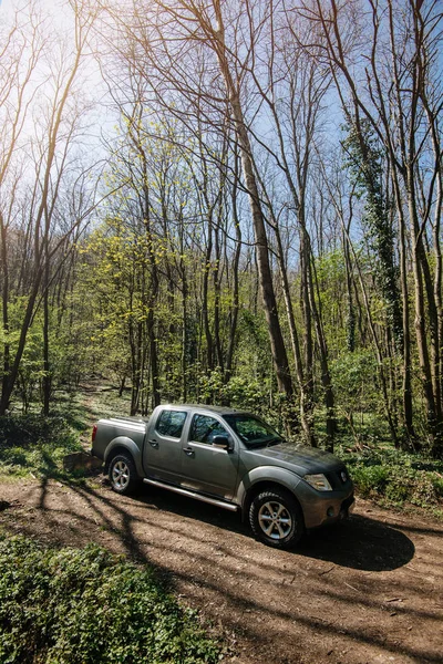 Припаркований Nissan сірий пікап в лісі — стокове фото